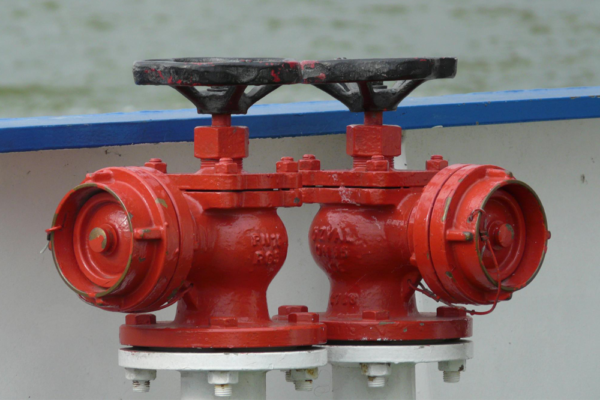 Globe Valve